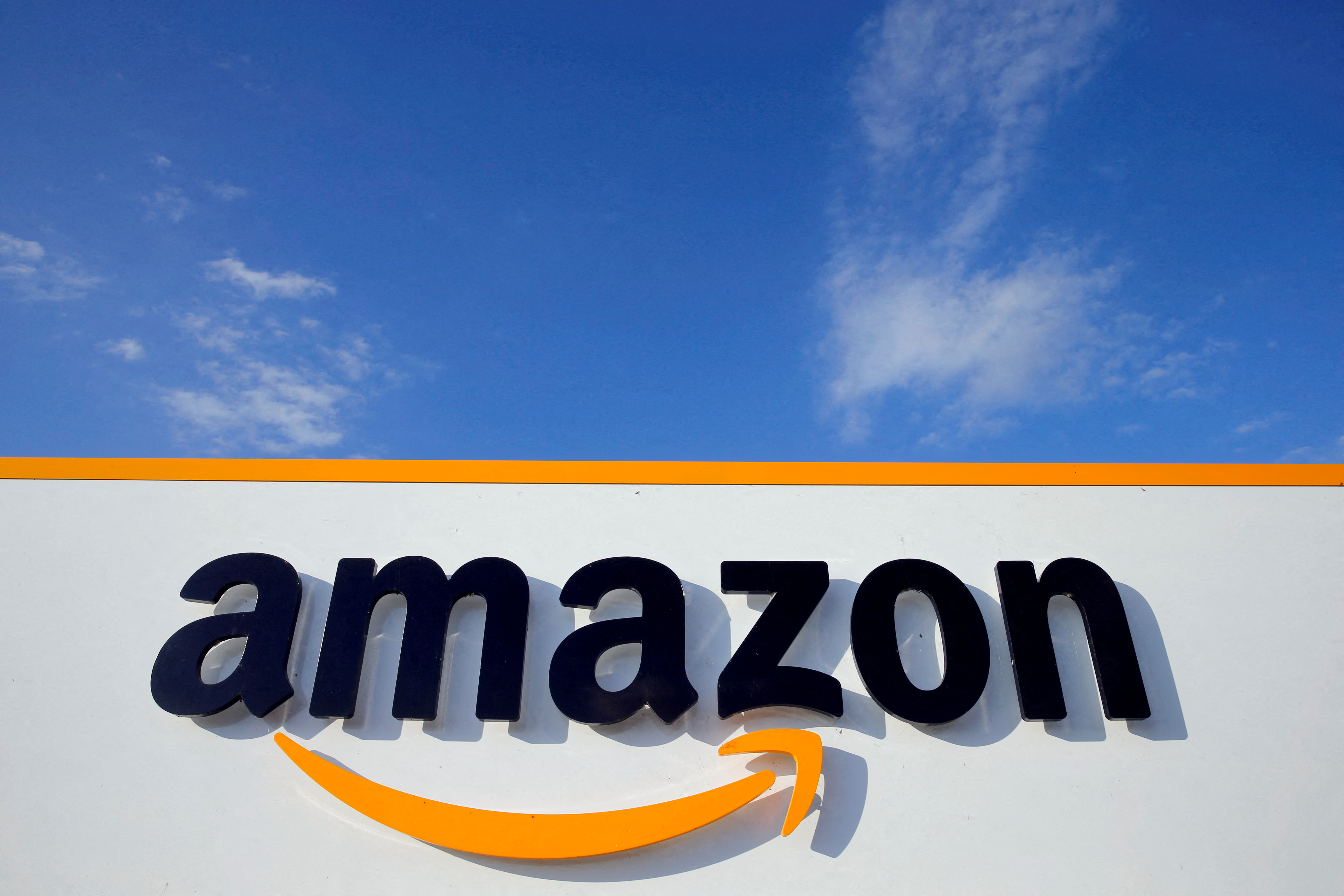 Amazon Grant
